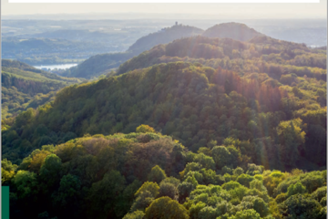 Waldzustandserhebung