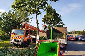 Baumpflege-Team Willms