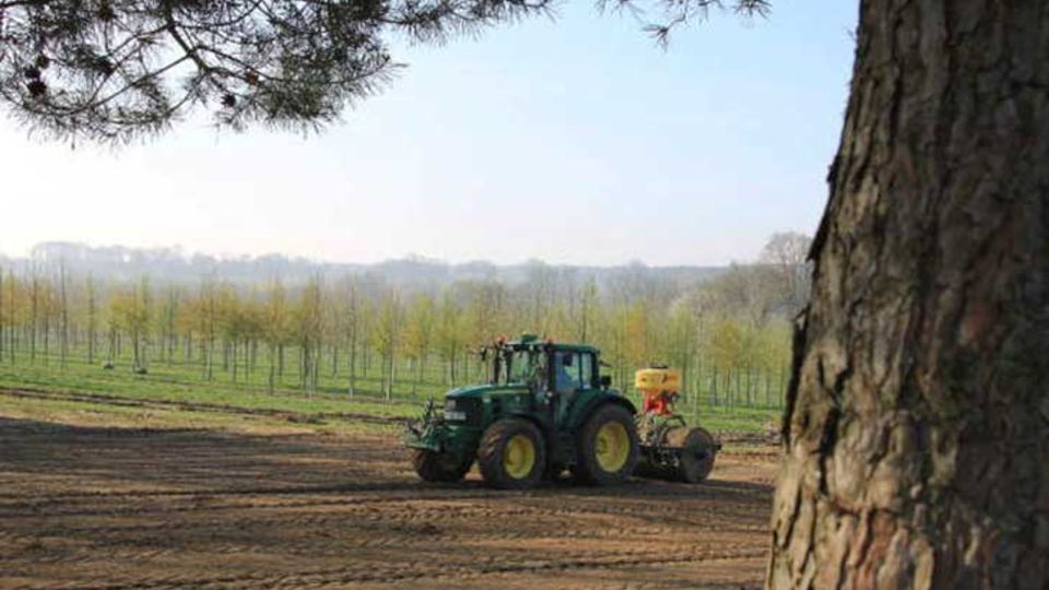 Projekt BienenBlütenReich