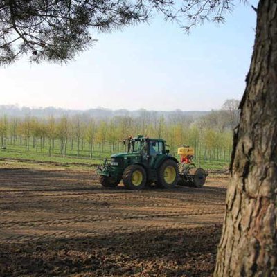 Projekt BienenBlütenReich