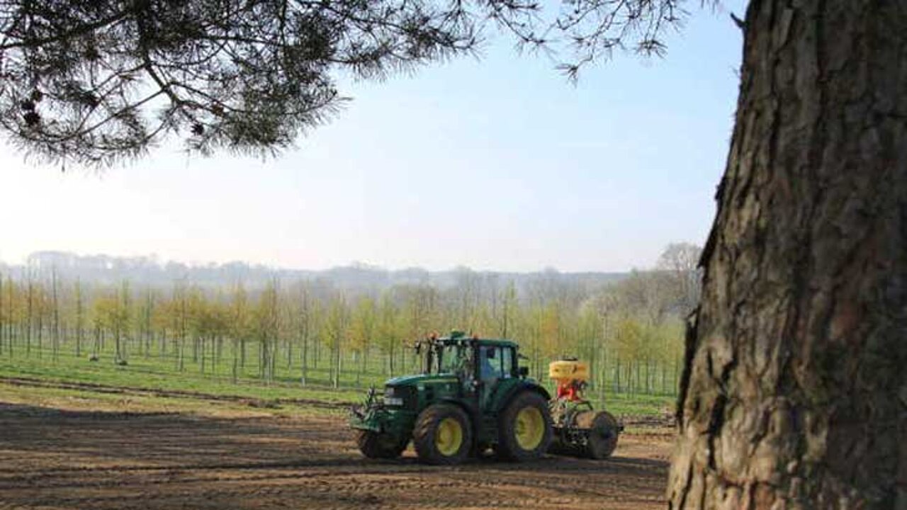 Projekt BienenBlütenReich