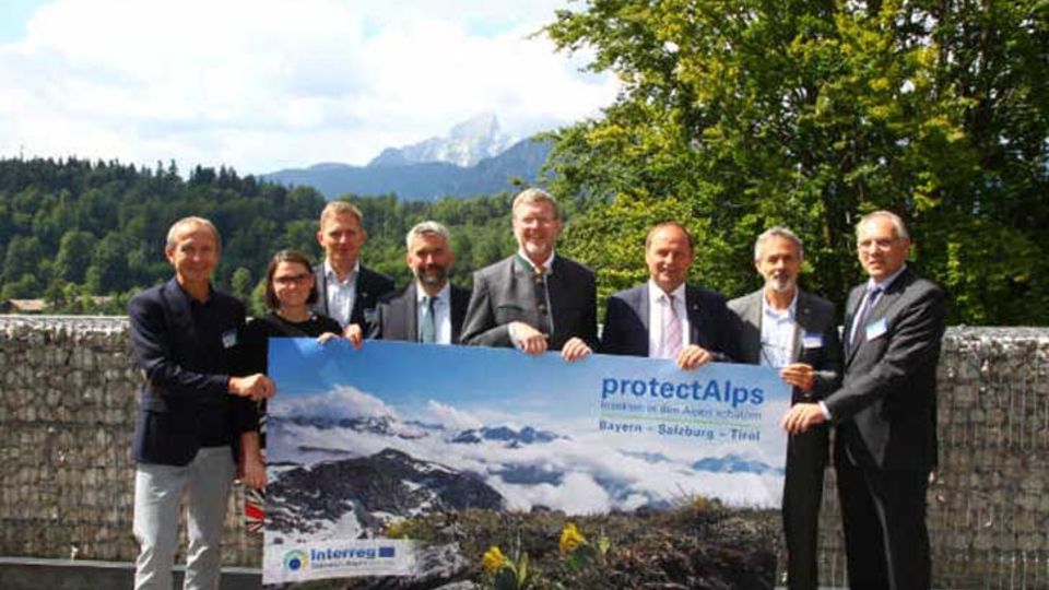 Artenvielfalt in den Alpen