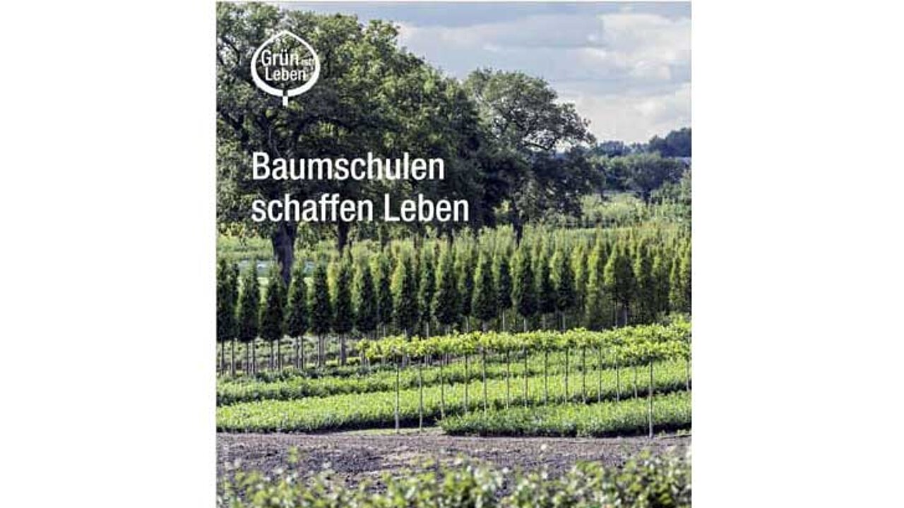 BdB-Jahresbericht