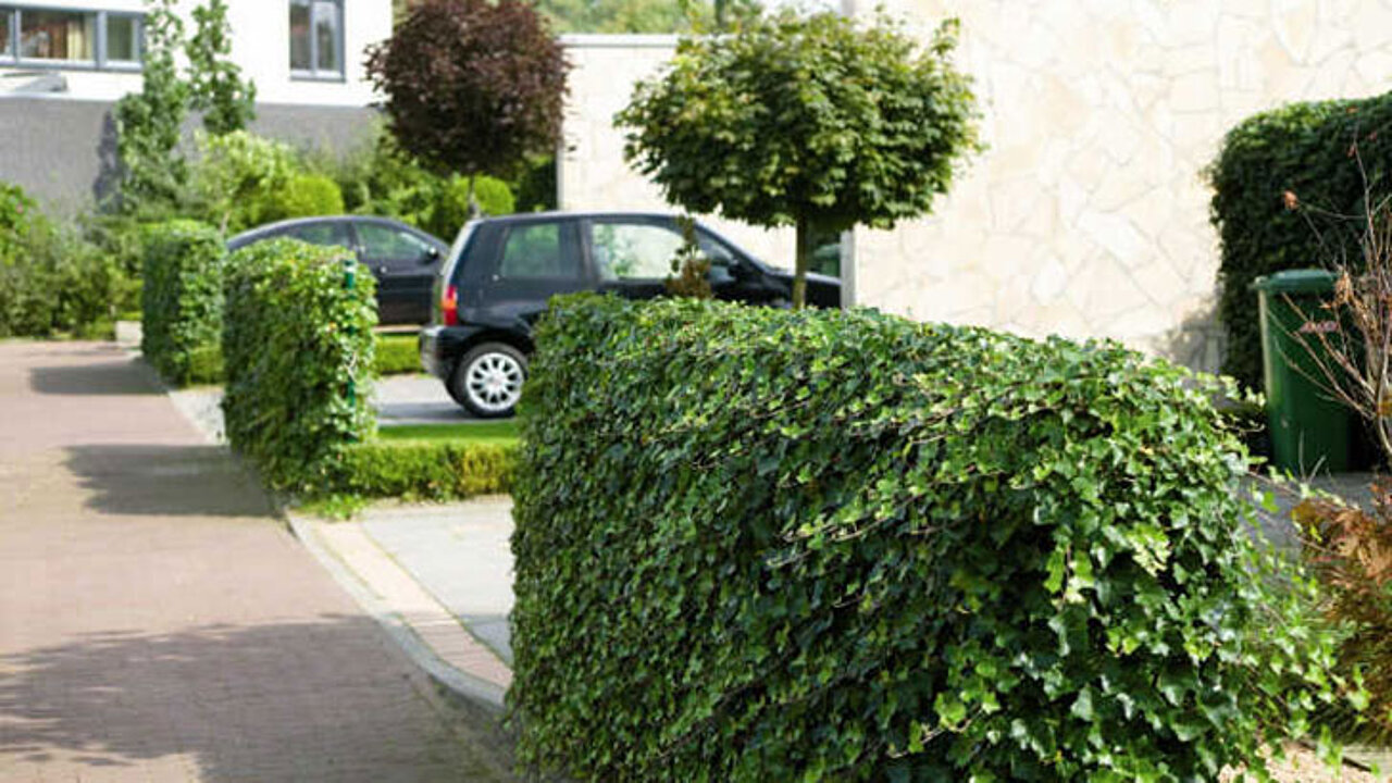 Hecke