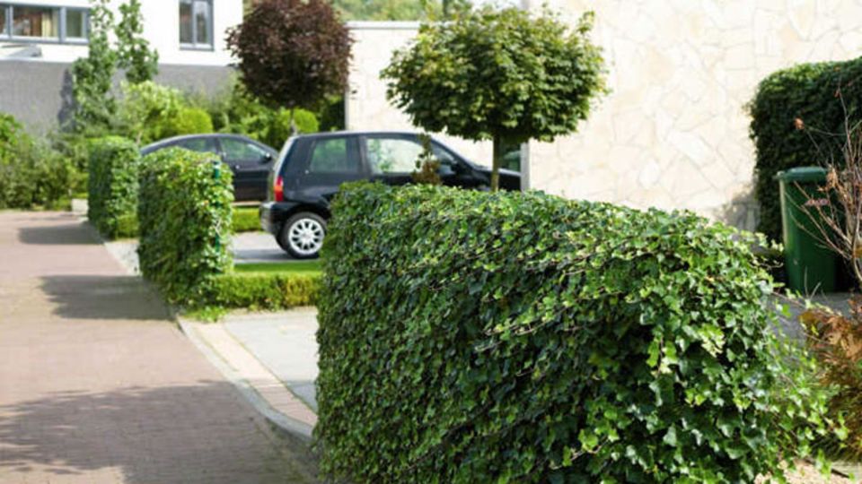 Hecke