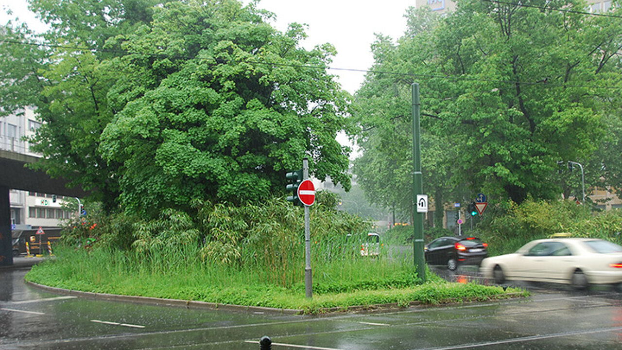 image-16811