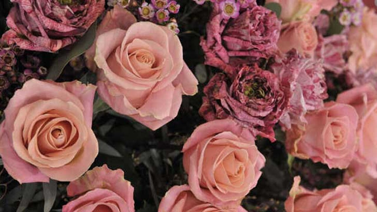 Rosen