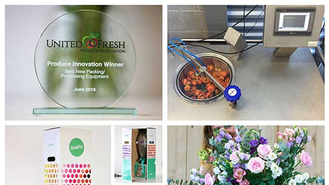 Niederländische Blumeninnovation