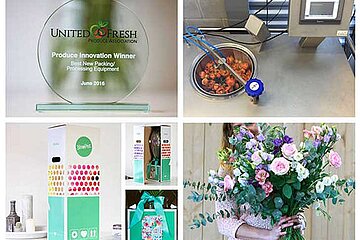 Niederländische Blumeninnovation
