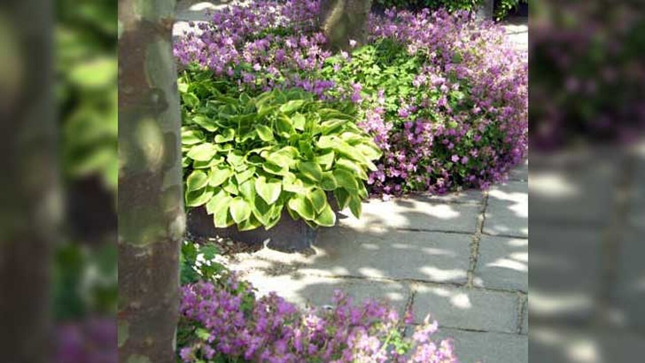 Traumgarten
