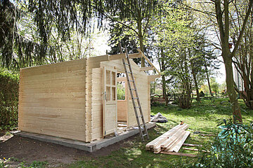 Image-13456