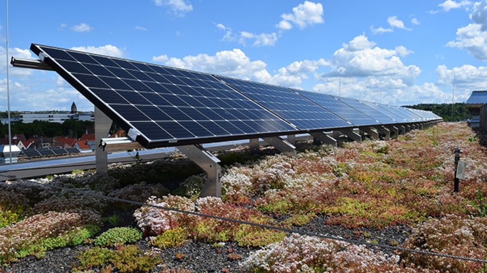 Solargründach