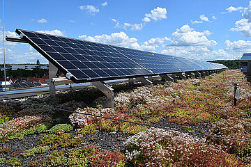 Solargründach