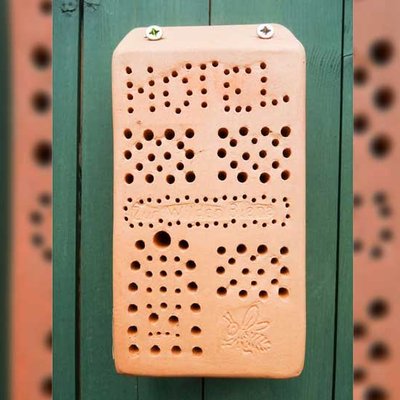 Wildbienen