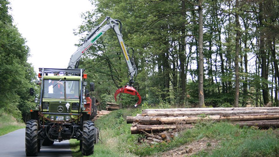 Forstwirtschaft