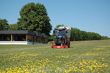 Grünpflege