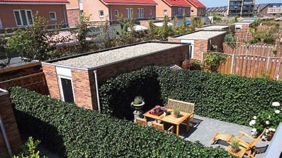 Gebrauchsfertigen Grünsysteme