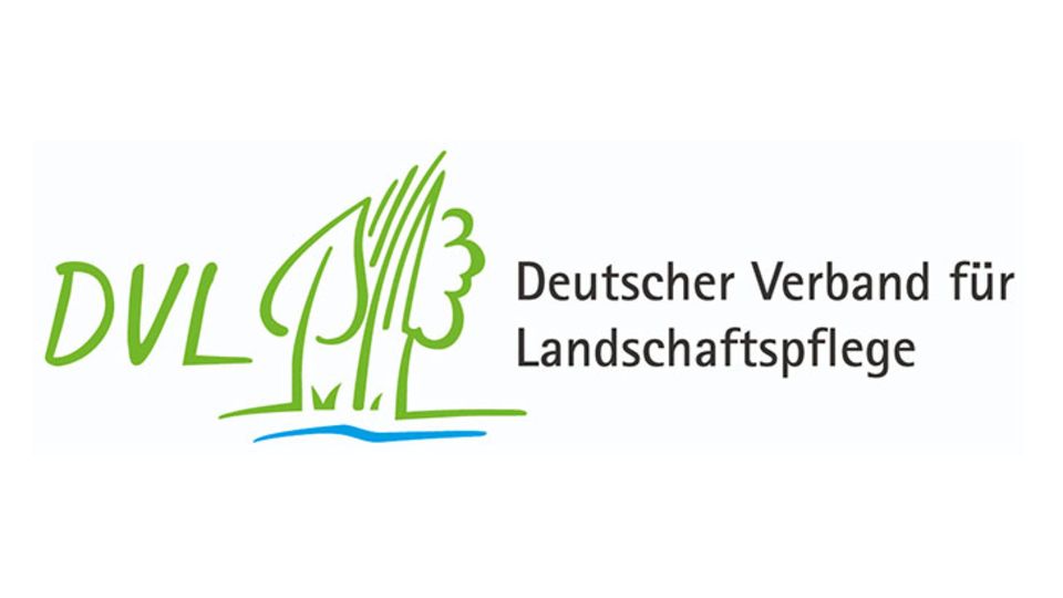 DVL Logo