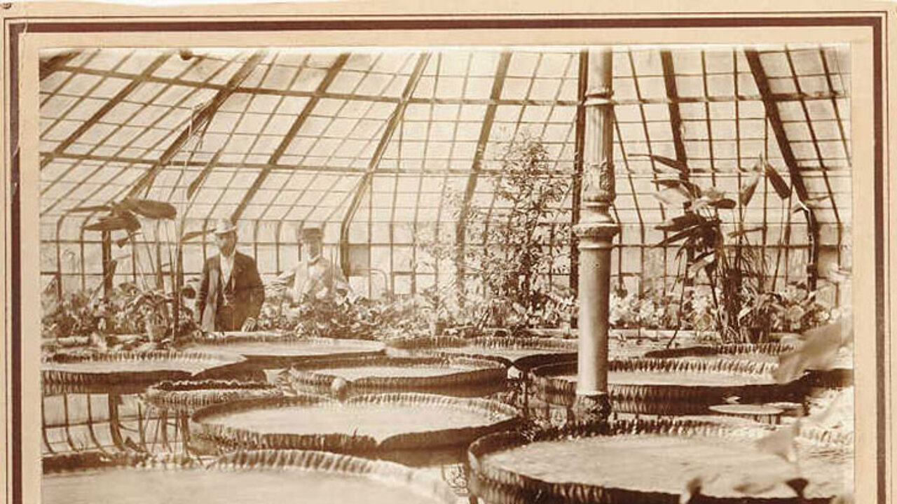 Alte Pläne