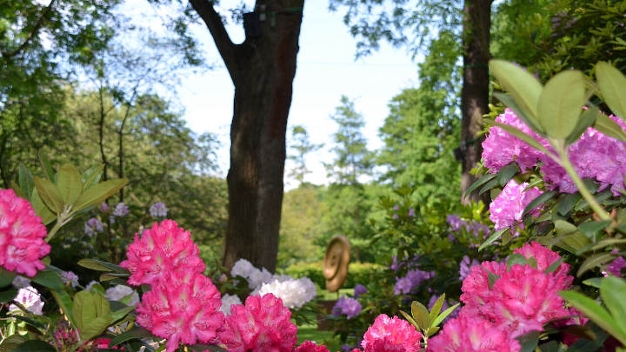 image-16513