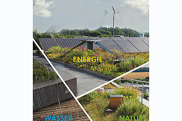 ZinCo Gründach-Seminare