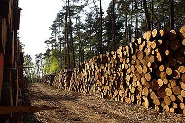 Kleinprivatwald