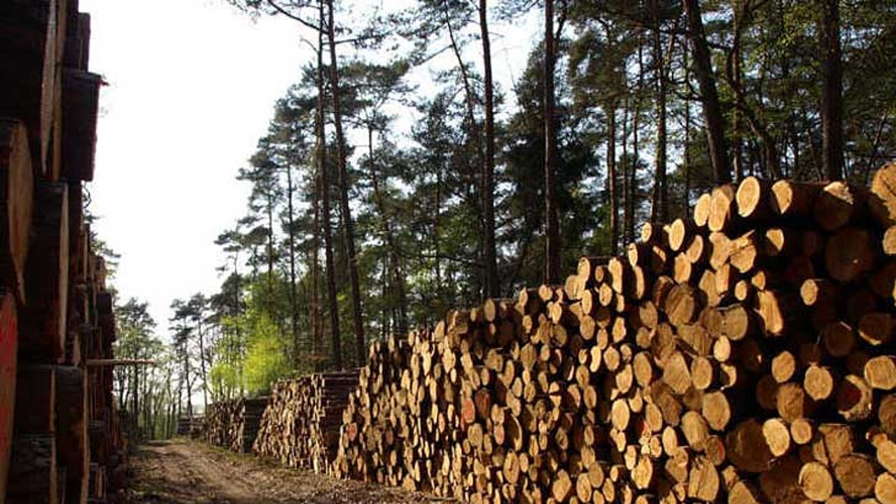 Kleinprivatwald
