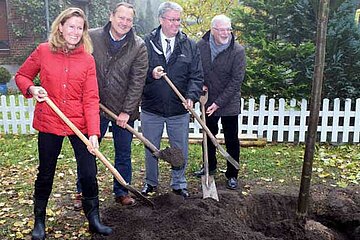 Pflanzung von Winterlinden
