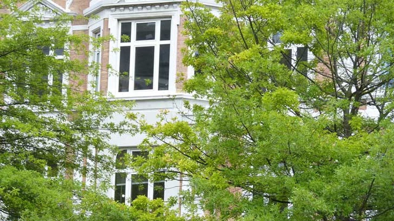 Bäume