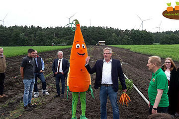 Max Möhre