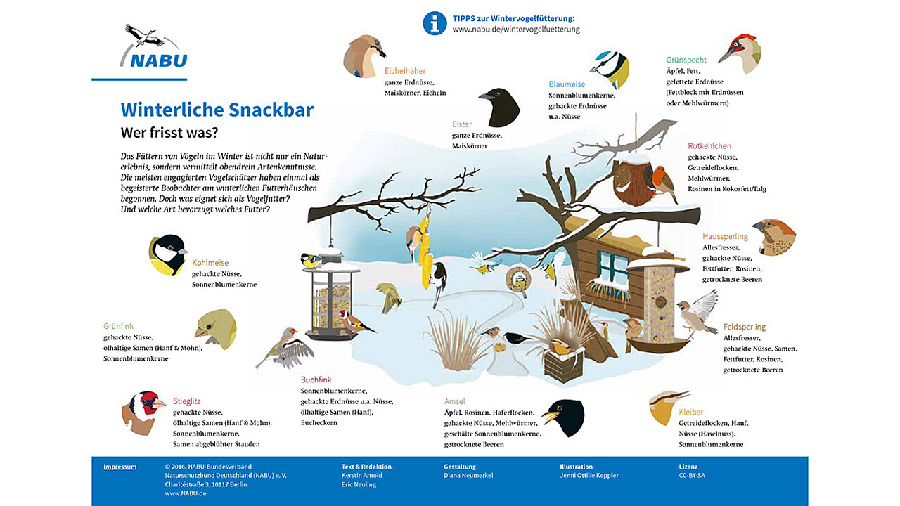 Wintervögelschaubild