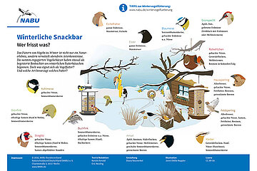 Wintervögelschaubild