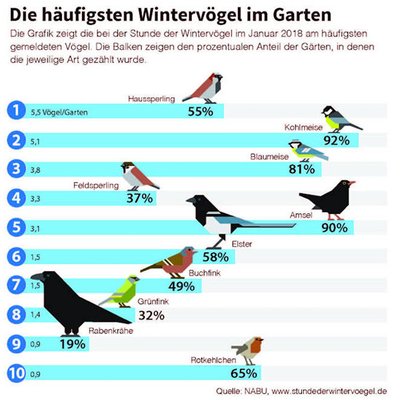 Wintervögel