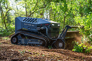 Prinoth Raptor 60