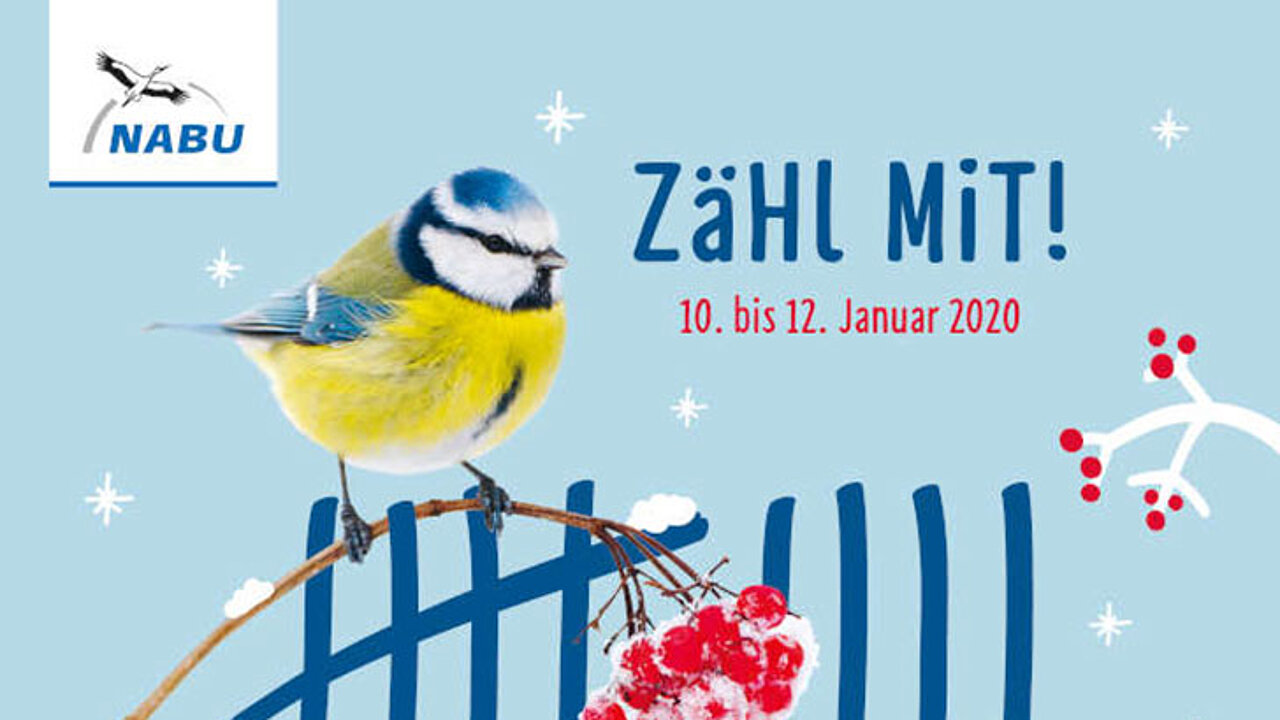 Wintervögel