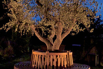 Re-natur Baum Re-natur Baum