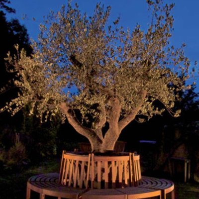 Re-natur Baum Re-natur Baum