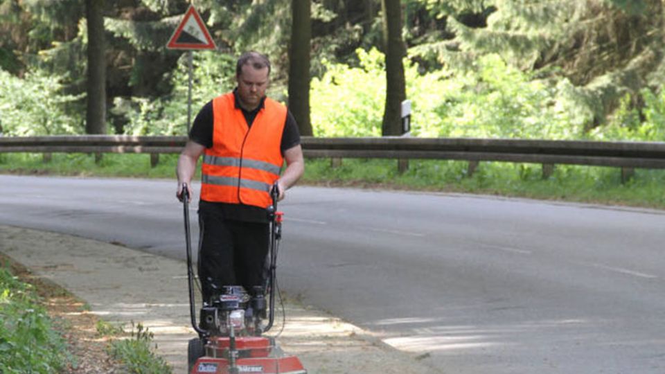 Wildkrautbürste