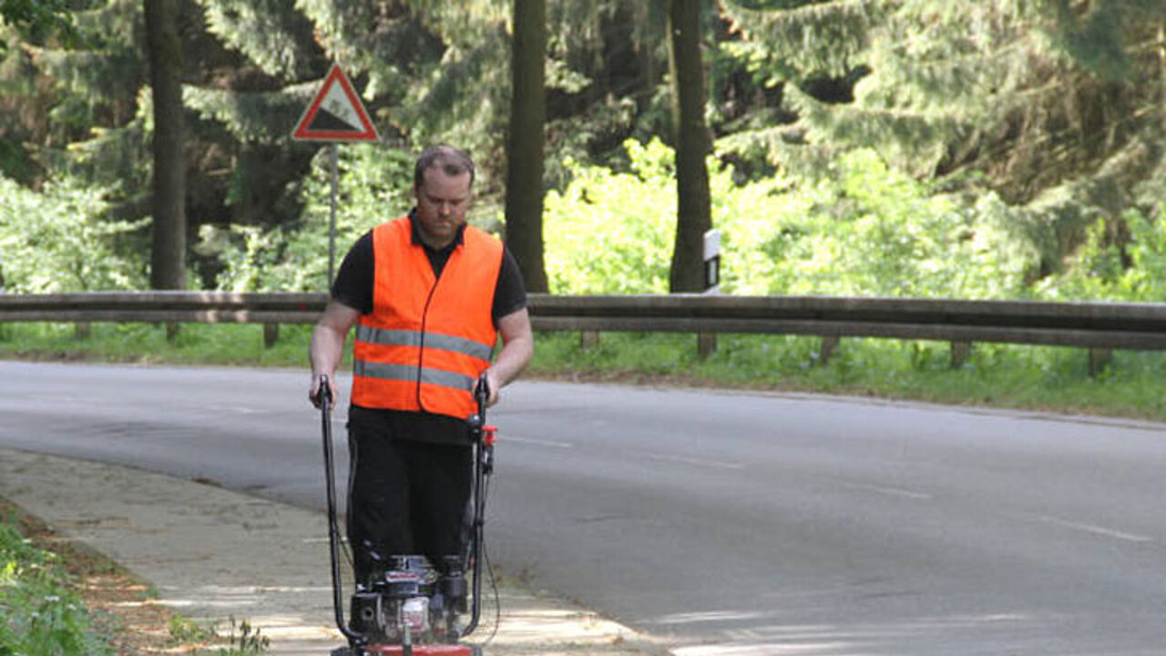Wildkrautbürste