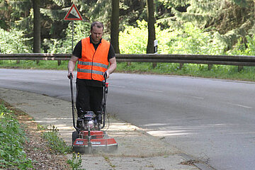 Wildkrautbürste