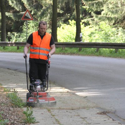 Wildkrautbürste