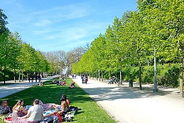 Image-14155
