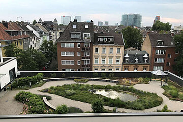 Image-13271