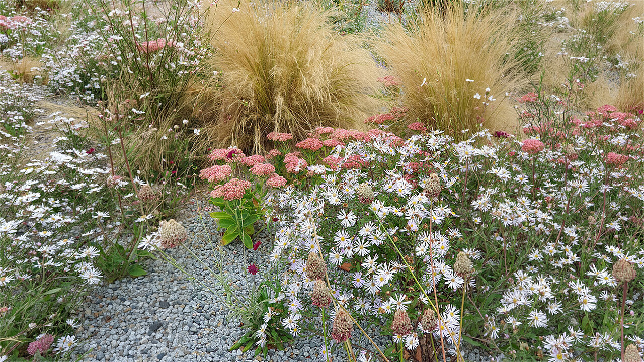 Mulchschichten, mineralische Substrate