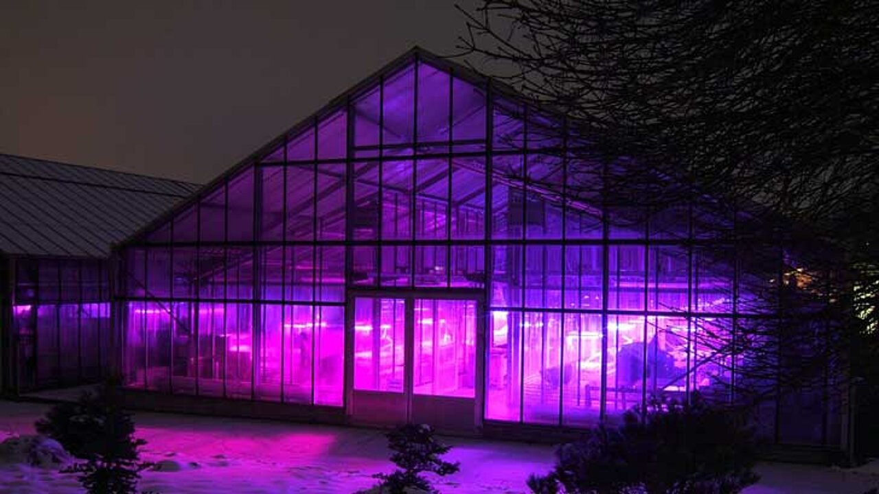 Gewächshaus mit LED