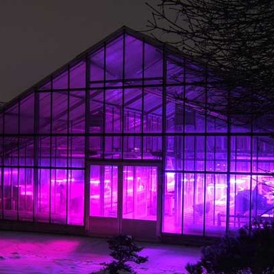 Gewächshaus mit LED