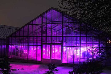 Gewächshaus mit LED