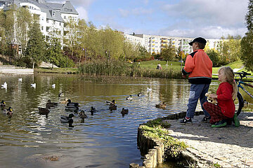 Image-13353