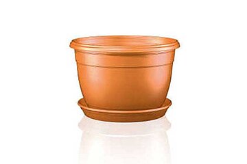 Blumenampel