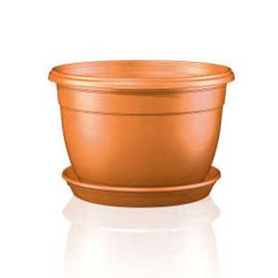 Blumenampel